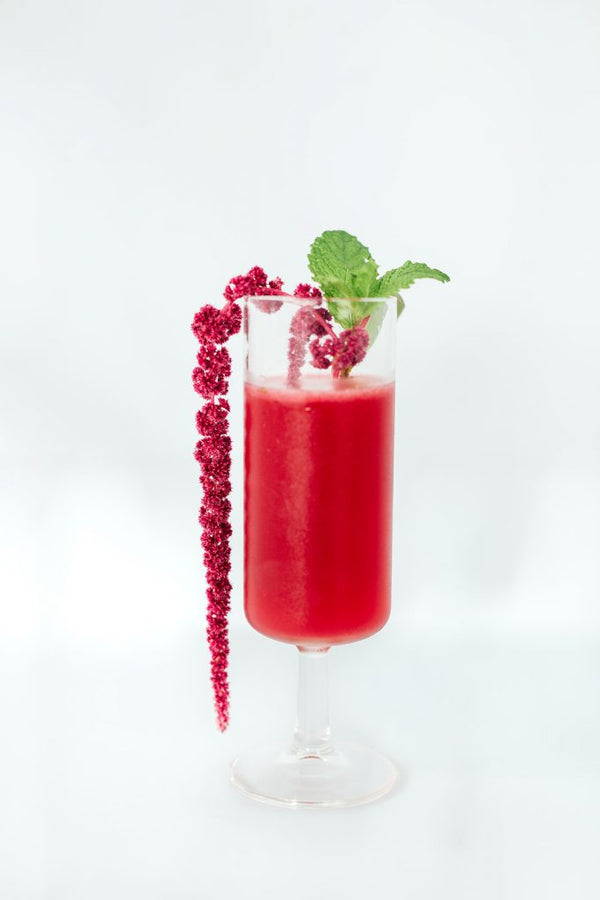 The Southside, a pre-prohibition cocktail goes Garden to Glass - Simple Goodness Sisters