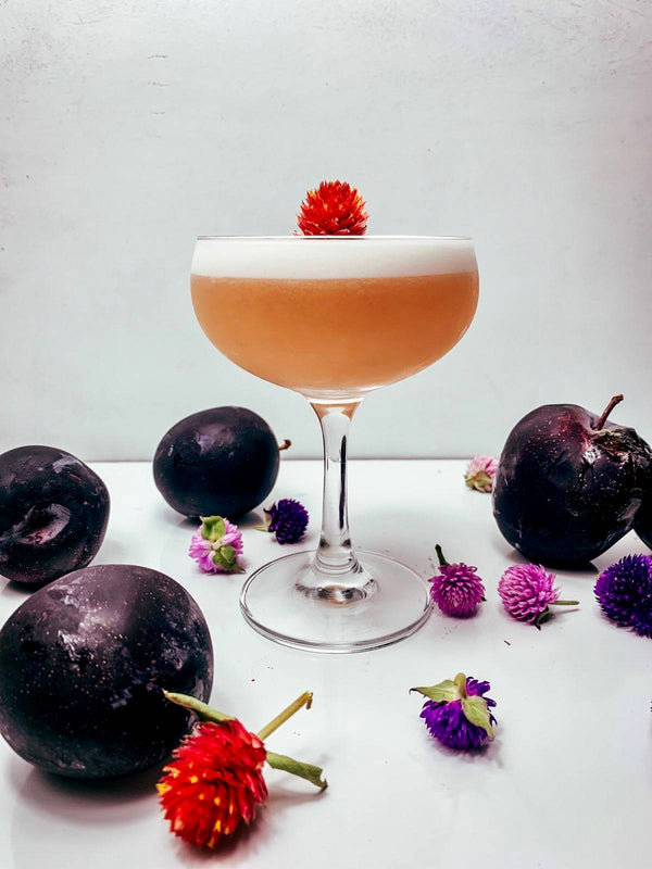 The Simple Goodness Fizz Cocktail - Simple Goodness Sisters