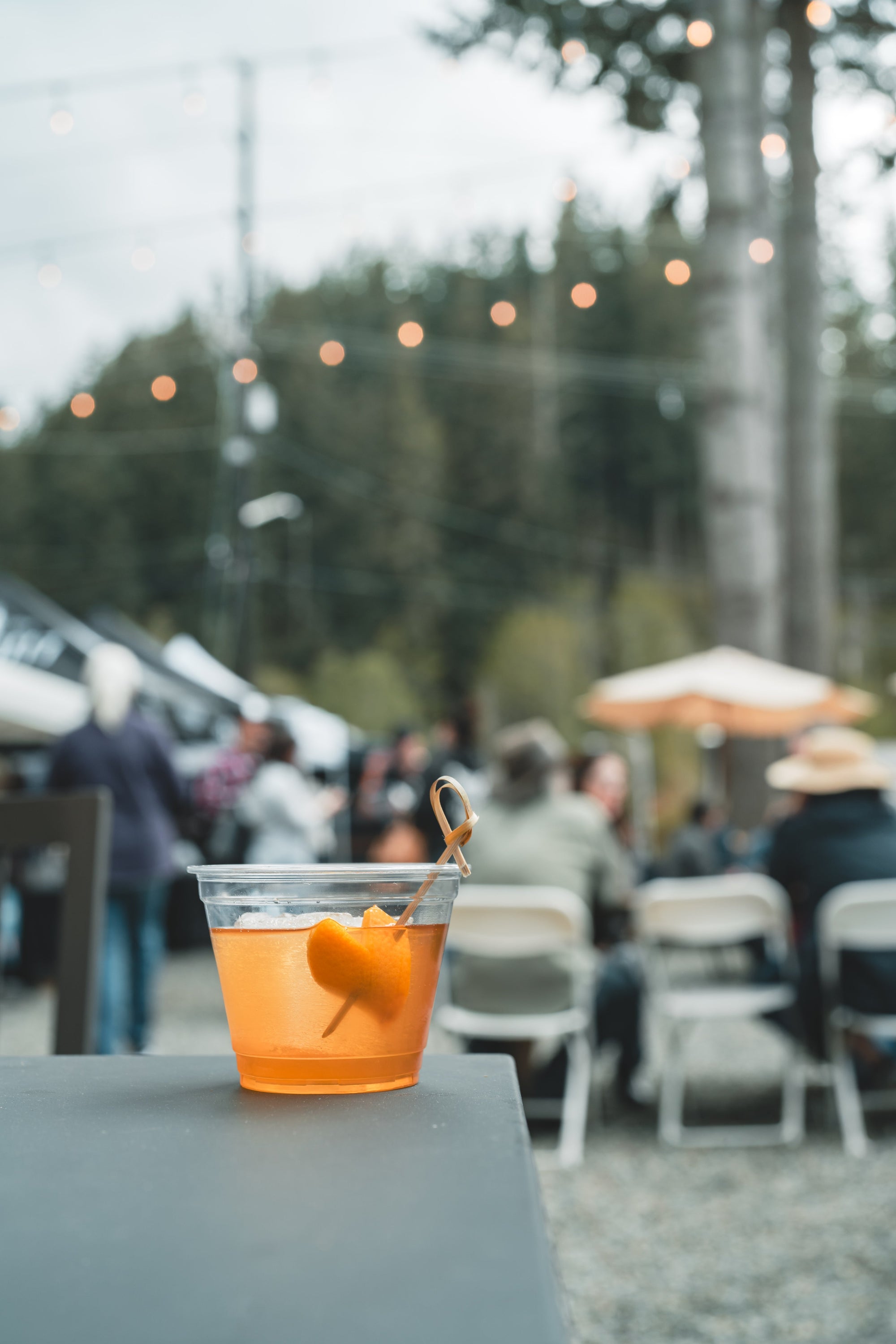 Old Fashioned Fest at the Soda Shop 2024