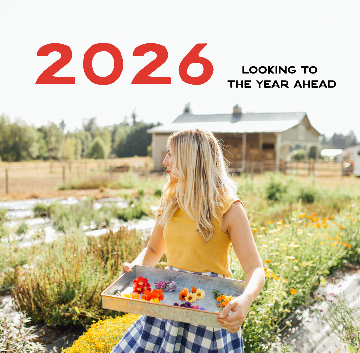 Simple Goodness in 2026: What’s Next for Our Syrups and Soda Shop