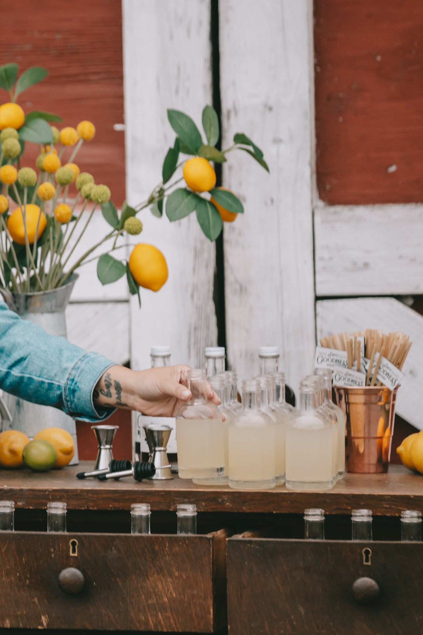 Fresh Lemonade, the Simple Goodness Way (with Real Fruit Syrups)