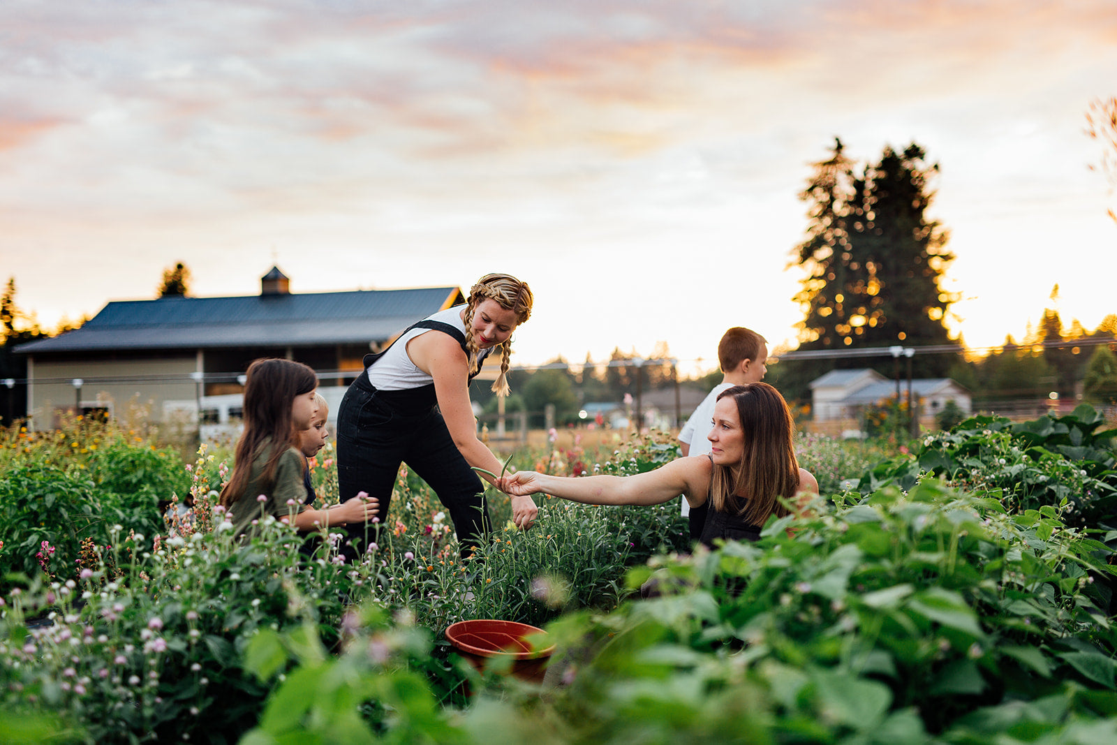 How We Source Simple Goodness Syrups