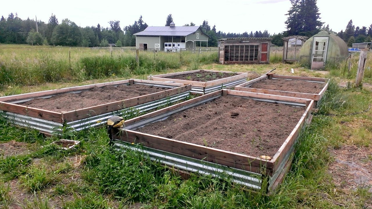 Kitchen Gardens 2015 summarized