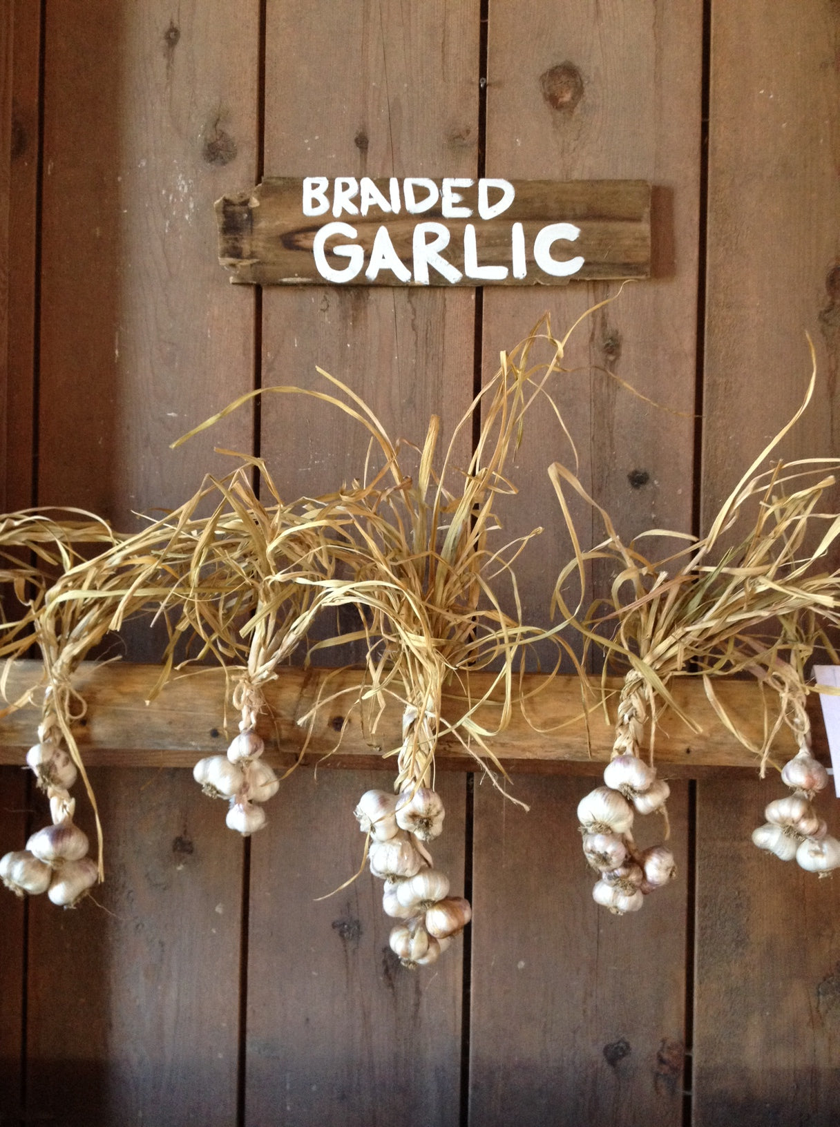 A Long Awaited Farm Update