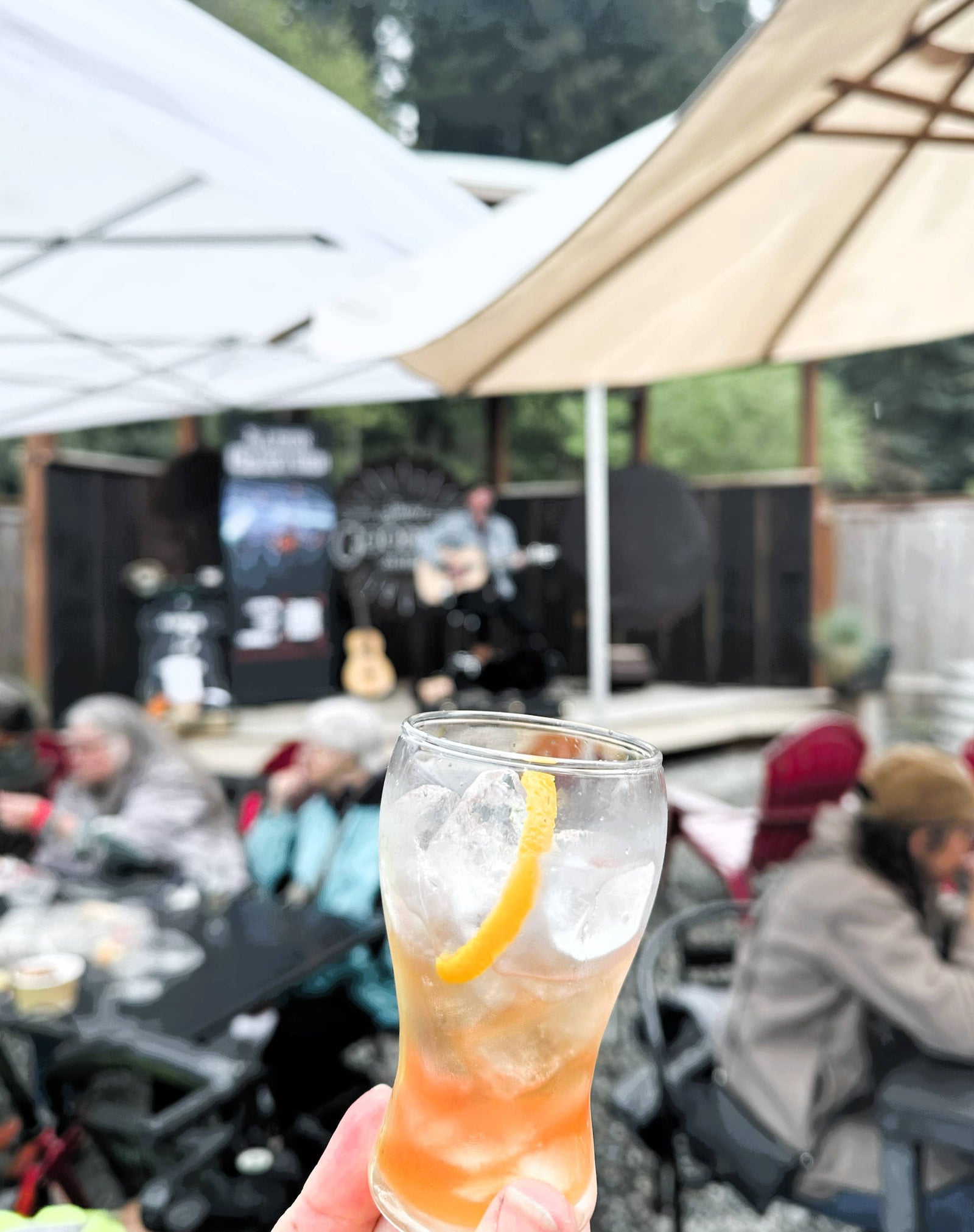 Old Fashioned Fest 2024 at the Simple Goodness Soda Shop