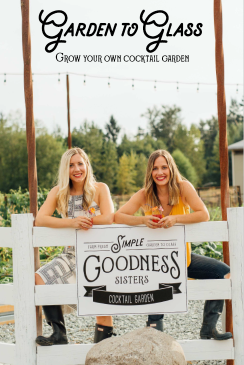 eBook: Garden To Glass